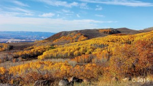 Aspen groves produce spectacular fall colors high on Boulder Mountain along the east side of the Aquarius Plateau. Large, rounded boulders eroded from Tertiary-age lava flows give Boulder Mountain its name. Boulder Mountain, Garfield County, Utah. Photographer: Elizabeth Firmage; © 2015