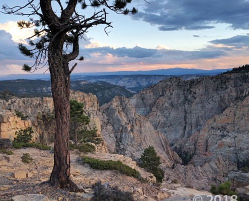 Dixie National Forest, Garfield County