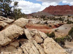 Capitol Reef National Park, Wayne County, Utah Photographer: James Kirkland; © 2015