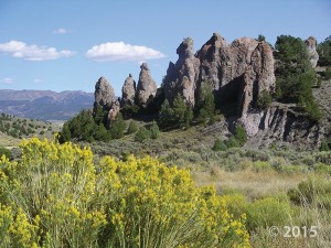 Pinnacles eroded from Tertiary-age lava flow breccia along State Route 20, Garfield County.