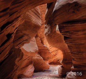 Just above its confluence with the Dirty Devil River, Happy Canyon deeply and abruptly cuts and sculpts the White Rim Sandstone of the Permian-age Cutler Formation. Happy Canyon, Garfield County, Utah Photographer: Gregg Beukelman; © 2016