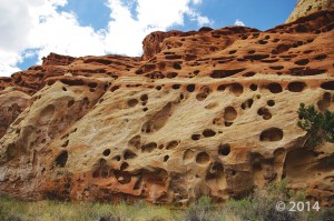 Erosion pockets in Wingate Sandstone, Cohab Canyon, Capitol Reef National Park, Wayne County. Capitol Reef National Park, Wayne County, Utah Photographer: Adam McKean; © 2014