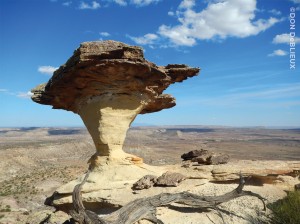 A goblet-shaped hoodoo formed in sandstone of the Early Cretaceous-age Burro Canyon Formation. The top is cemented by silica, making it more resistant to weathering than the softer rock at the base. Near Blanding, San Juan County. Photo by Don DeBlieux.