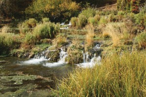 Waterfalls, pools, and lush vegetation create a relaxing atmosphere at Cascade Springs.