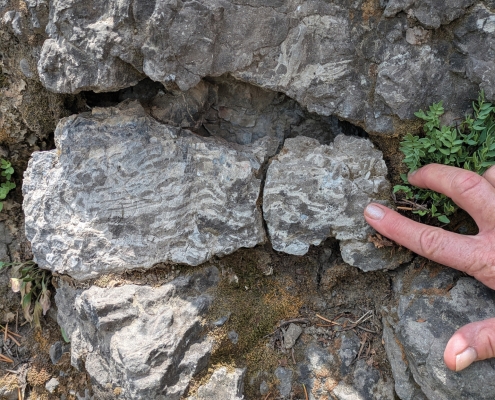 A wavy texture on a rock.