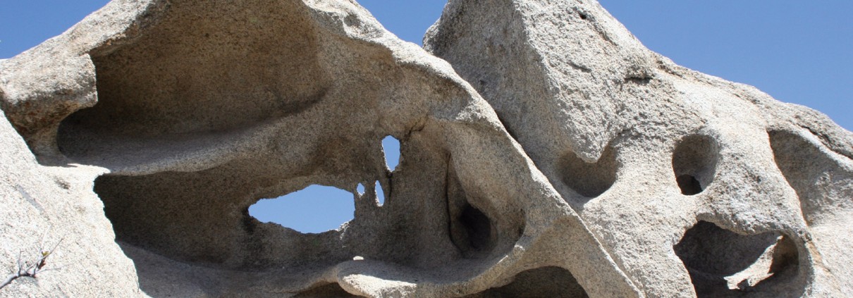 Granitic rock weathered into bizarre shapes and forms in Devils Playground.