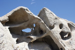Granitic rock weathered into bizarre shapes and forms in Devils Playground.