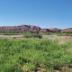 Image of a wetland area surrounded by red rocks.