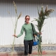 A smiling woman in sunglasses holds tall reeds in each hand, standing against a white wooden wall.