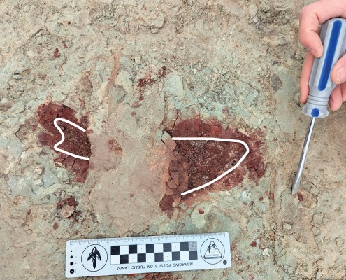 Bright red impression on a tan rock layer with an white outline.