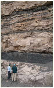 Interbedded coal and sandstone in the Blackhawk Formation (just off SR-6, near Helper). Source : Mike Vanden Berg