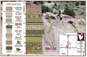 palSimplified stratigraphy of the Jurassic Salad Bar site showing two prominent fossil levels: a lower level of pebbles with plant and bone fragments (Sa1134), and an upper finely laminated leaf level overlying a volcanic ash (Sa1212). This site has produced some of the best-preserved plant and invertebrate fossils ever found in the Morrison Formation.