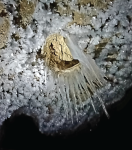 These 1- to 3-foot-long ice stalactites formed as groundwater dripped into BBCC during subfreezing air temperatures. February 2022.