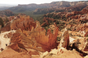Photo of red and pink colored rock spires, called "hoodoos". Location is in Bryce Canyon National Park.