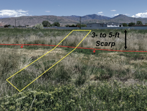 View of a fault scarp at the trench site. The fault scarp is 3-5 feet tall.