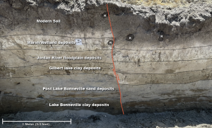 Photo of the trench showing the different stratigraphic layers. A red line in the middle indicates the fault movement, which has approximately 10 inches of vertical displacement.