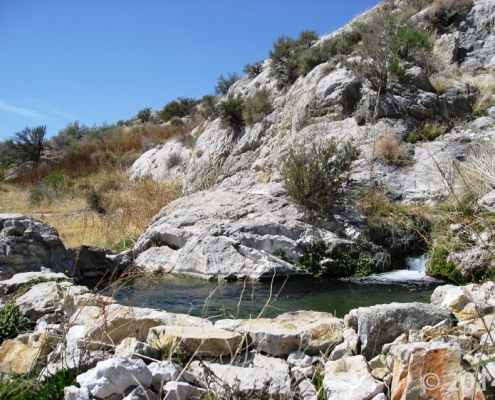 Gandy Warm Springs is located half a mile from the Nevada border at the southern base of Spring Mountain (Gandy Mountain) at the western edge of Snake Valley, Utah. Multiple springs come from the sides of the mountain and cascade into a constructed pool made of Cambrian limestone cobbles and boulders. The main spring at Gandy emerges from a cave (Beware Cave) below the soaking pool, discharging an enormous quantity of geothermal water (~81˚F), at nearly 9000 gallons per minute, which flows east as Warm Creek (Gandy Creek).