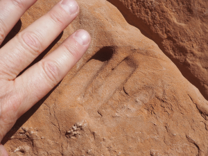 A three finger petrosomatoglyph from a child is 28 inches above the ground—one of the lowest to the right of the rock shelter. Small adult male fingers for scale.