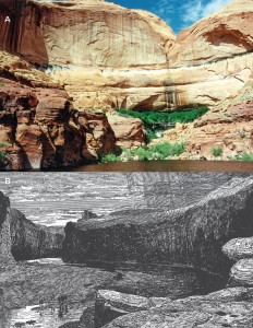 A – Classic example of an alcove in the Navajo Sandstone with a hanging garden of vegetation along Lake Powell near Knowles Canyon. B – Sketch of Glen Canyon, from Canyons of the Colorado, by J.W. Powell, 1895.