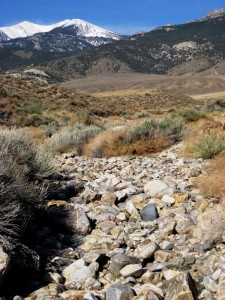 Basin Creek