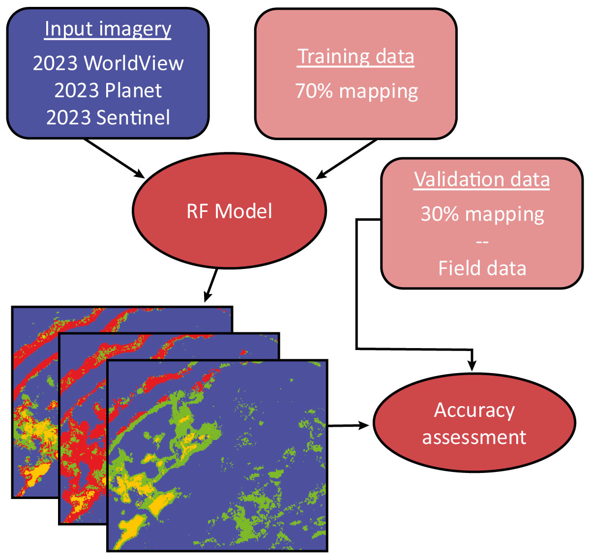 Conceptual diagram of RF model development and assessment for imagery resolution comparisons. Models were trained using 70% of the representative mapping and the remaining 30% used as validation data in accuracy assessments. We also assessed each RF model using field data collected in fall 2023. Conceptual diagram of RF model development and assessment for imagery resolution comparisons.
