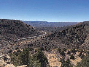 View to the west of Willow Creek core study area. Photo by Ryan Gall.