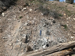 A photo of steeply dipping beds of limestone and phosphorite in the Phosphoria Formation, Crawford Mountains, Rich County, Utah.