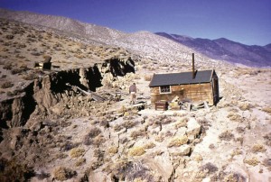 Newly formed fault scarp from the 1954, magnitude 6.8 Dixie Valley, Nevada, earthquake. Note the tilting and deformation of the ground surface on the downdropped side of the fault.