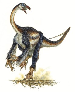 This artist’s conception shows the bird-like feathered dinosaur Falcarius utahensis. A mass graveyard with fossils of hundreds to thousands of the creatures was found in Utah by paleontologists from the Utah Geological Survey and the Utah Museum of Natural History at the University of Utah. They reported the discovery in the May 5, 2005, issue of the journal Nature. The small, 4.5-foot-tall dinosaur lived 125 million years ago and represents a missing link between earlier, vicious meat-eaters and later, plant-munching herbivores. Credit: Mike Skrepnick.