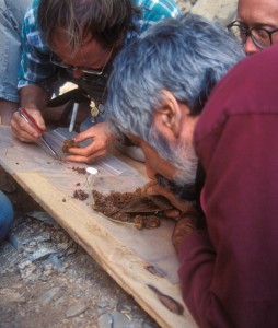 Scientists Dave Madsen, Don Grayson, and Jeff Hunt examining Homestead Cave deposits for small animal fossils. Photo by Monson Shaver.