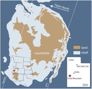 Reconstructed illustration of Laurentia, showing Utah mostly covered by a marine shelf.