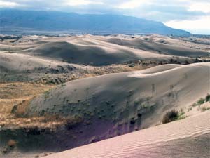 Sand dunes on the east side of Little Sahara Recreation Area. Gilson Mountains in background.
