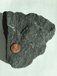 Large grey peloidal phosphorite sample, with penny for scale, which covers a small area of the sample.