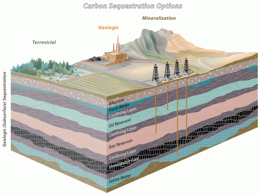 Carbon Sequestration Definition Geography