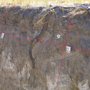 Utah Geochronology Database