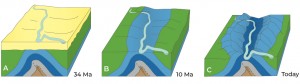 Diagram of Split Mountain Anticline Formation. Ma = million years ago.