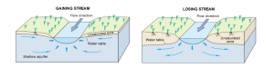 Block diagrams of a gaining stream, where the water table is high and flowing towards the stream, and a losing stream with a low water table flowing away from the stream.