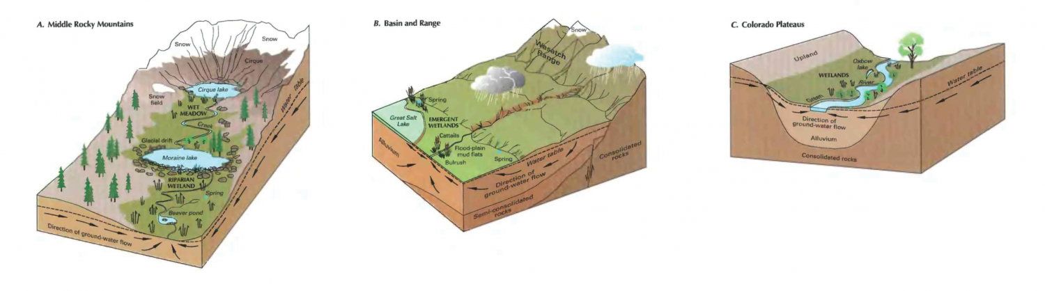Wetlands - Utah Geological Survey