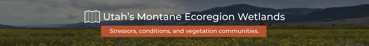 Open Utah's Montane Ecoregion Wetlands storymap.