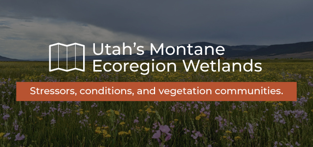Open Utah's Montane Ecoregion Wetlands storymap.