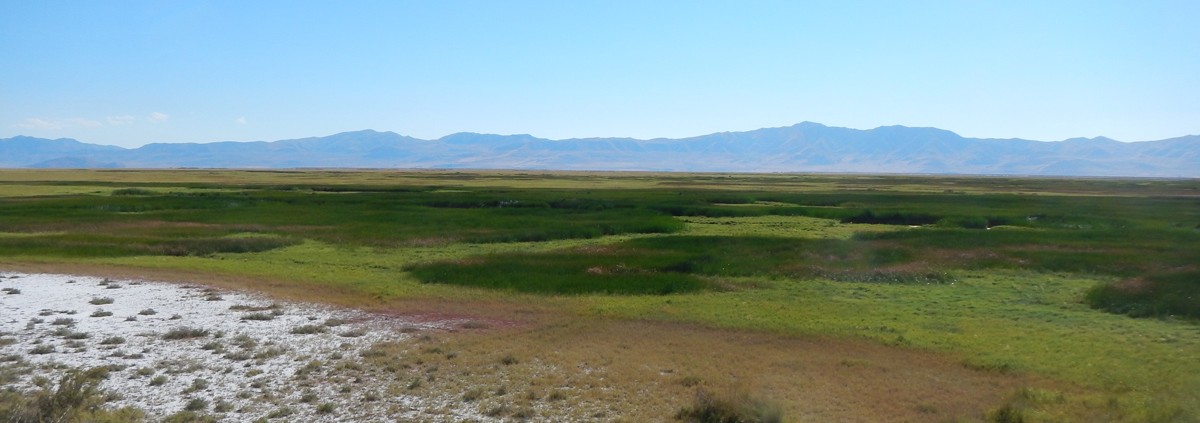 Utah Wetlands